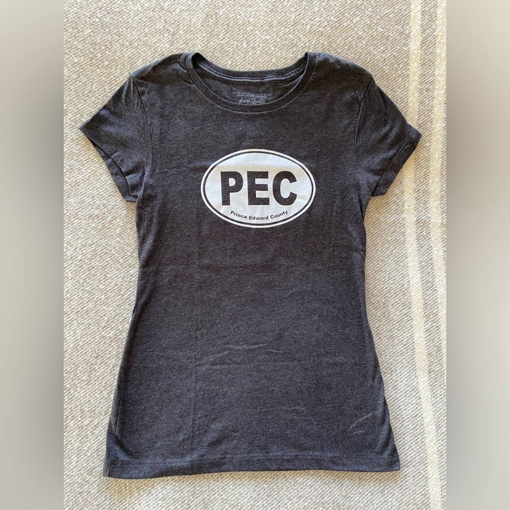 Prince Edward County t-shirt in charcoal grey, size women’s extra-large
